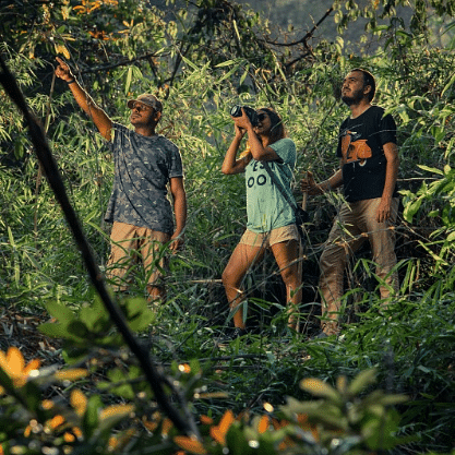 three people on a hike in a forest