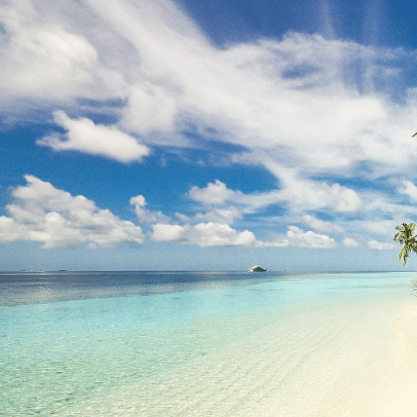 view of a beach