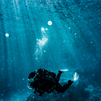 a person scuba diving