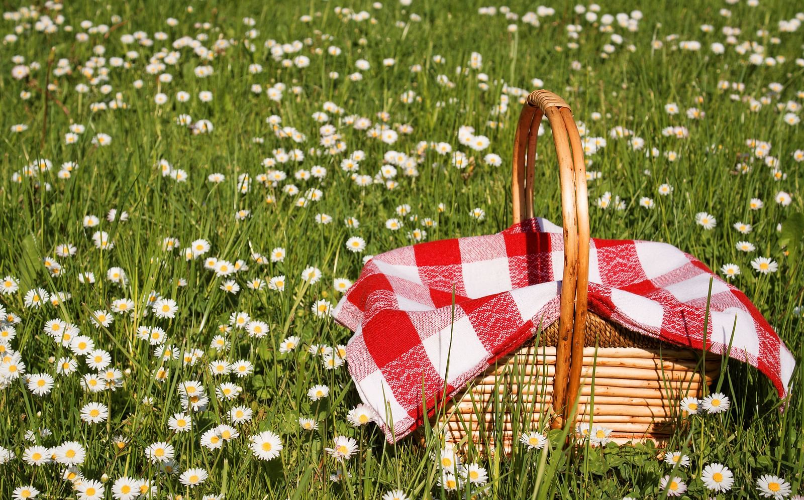 A basket covered with a soft towel resting on a lush green surface adorned with delicate white flowers.