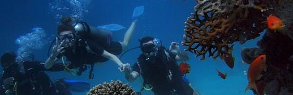 Divers explore a vibrant underwater scene, surrounded by coral formations and marine life.
