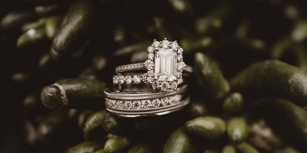Diamond engagement and wedding rings beautifully placed on a green pine branch, highlighting love and commitment.
