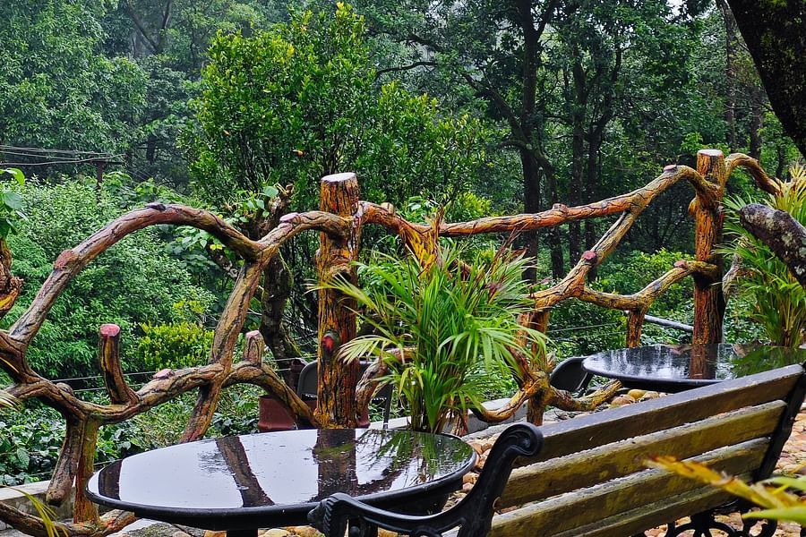 an image of closeup shot of wooden and iron fished chairs with forest cover in the background - Ibex Stays & Trails, Valparai (Mistly)