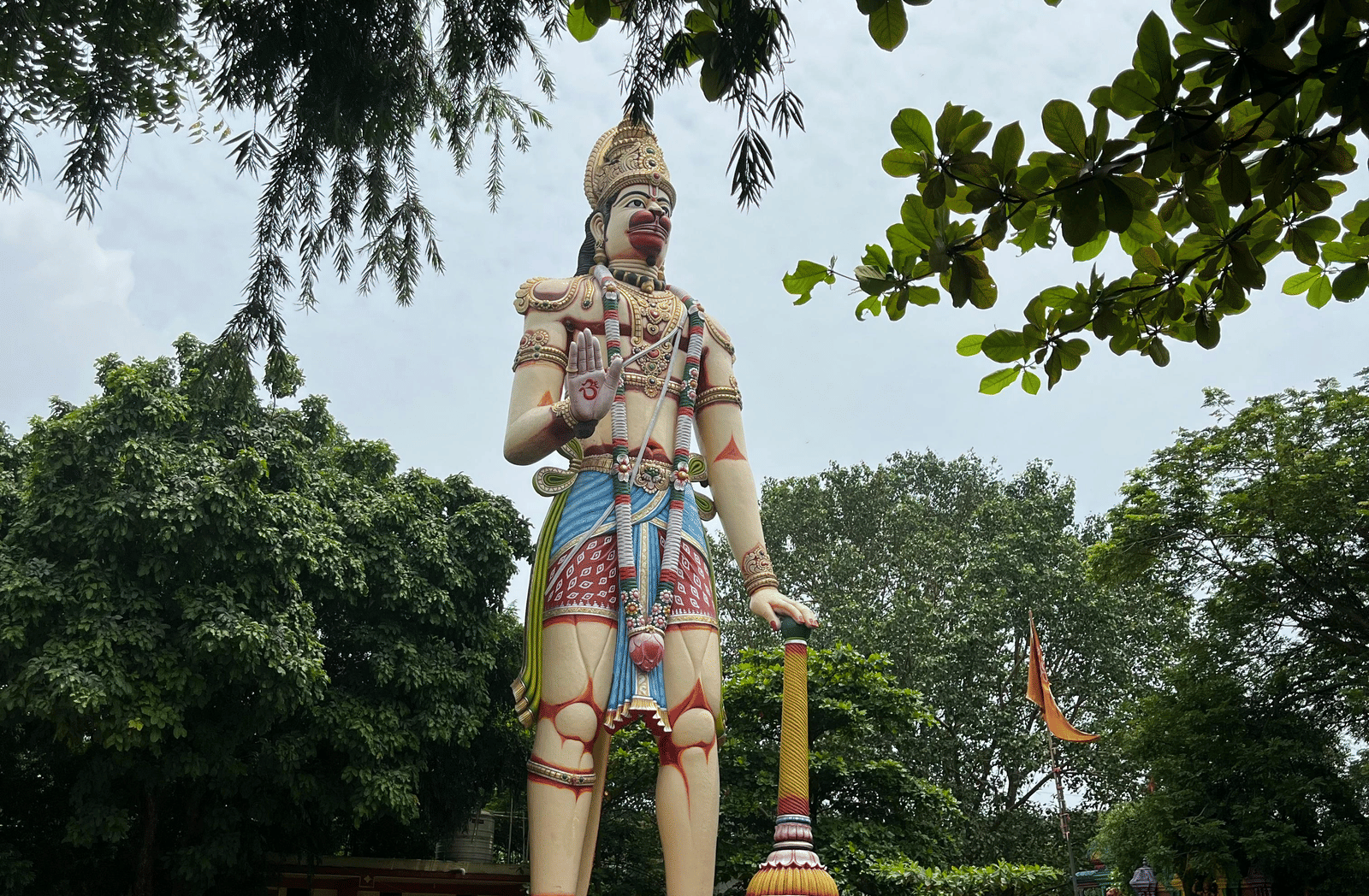 pexels-ravikant-18258951