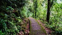 a trekking path amidst nature