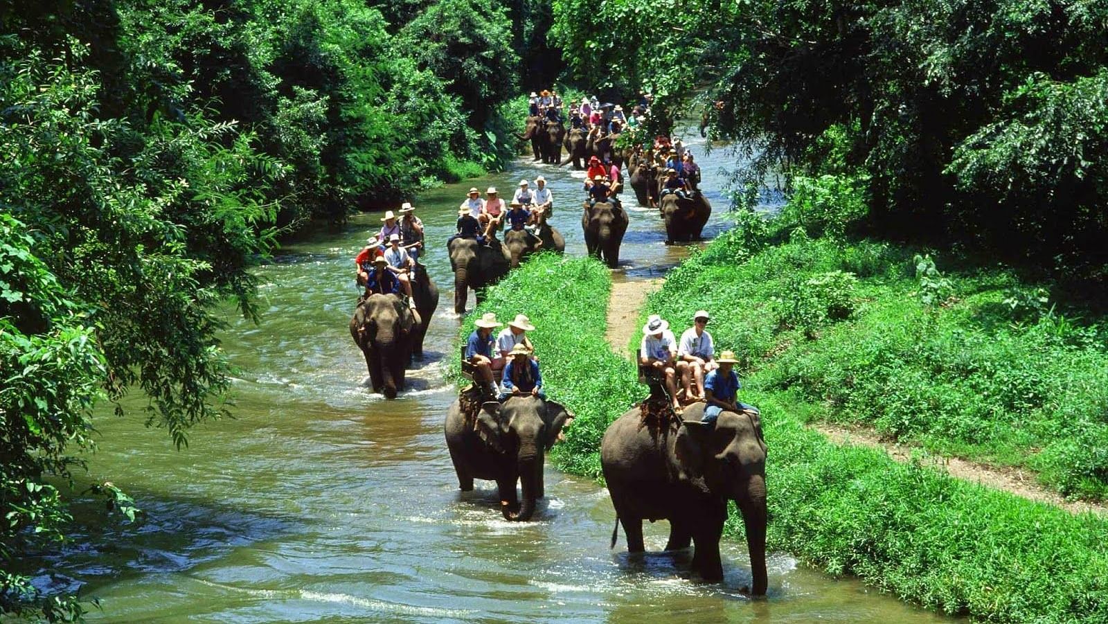 Elephant-Ride