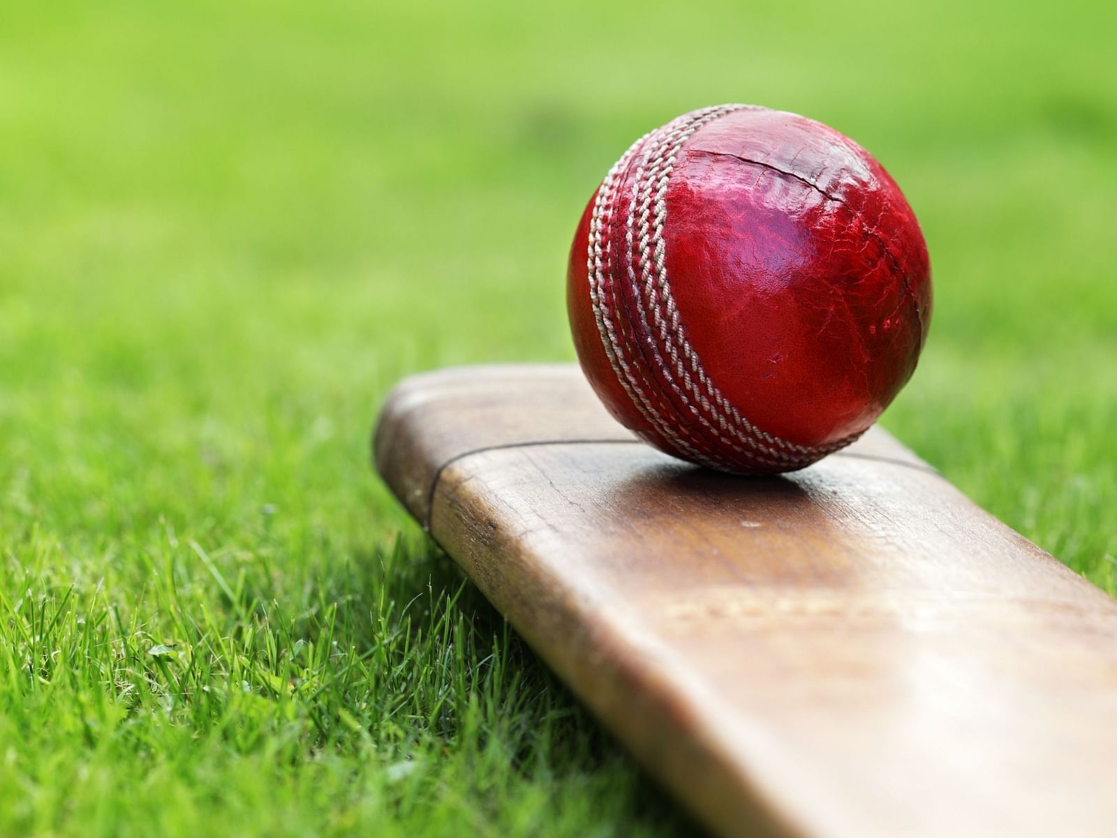 A close up shot of a Cricket ball kept on a bat. Both the ball and the bat are kept in manicured grass.