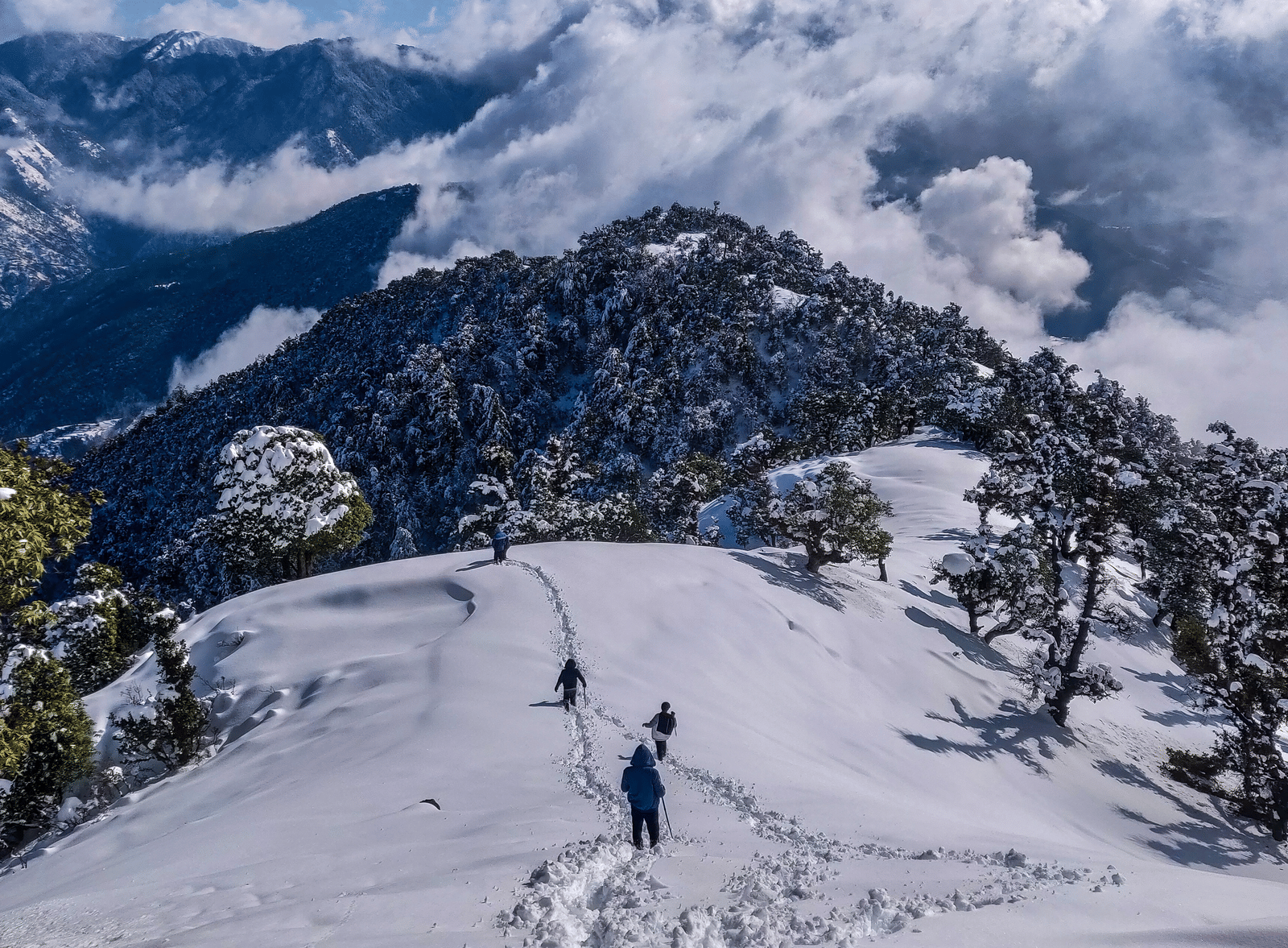 tejashvi-verma-HnlNbNsiJz0-unsplash