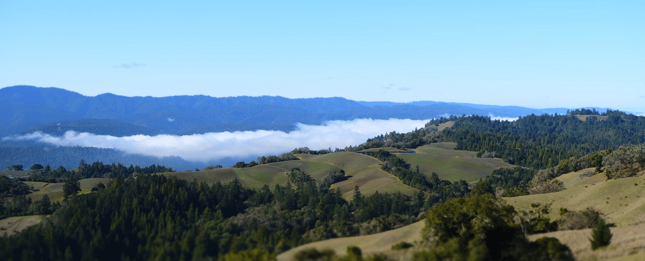 The bird's eye view of the anderson valley featuring towering trees and vast green fields