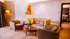 Business Suite Living Area