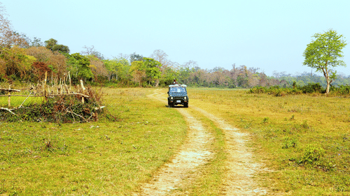 Kaziranga safari 2000