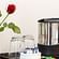 Amenities The Sanctum Suites in Whitefield 5