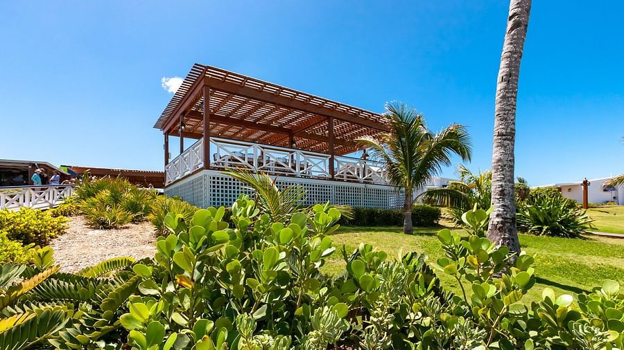 View of pergola and garden surrounded by palm trees | Abaco Inn