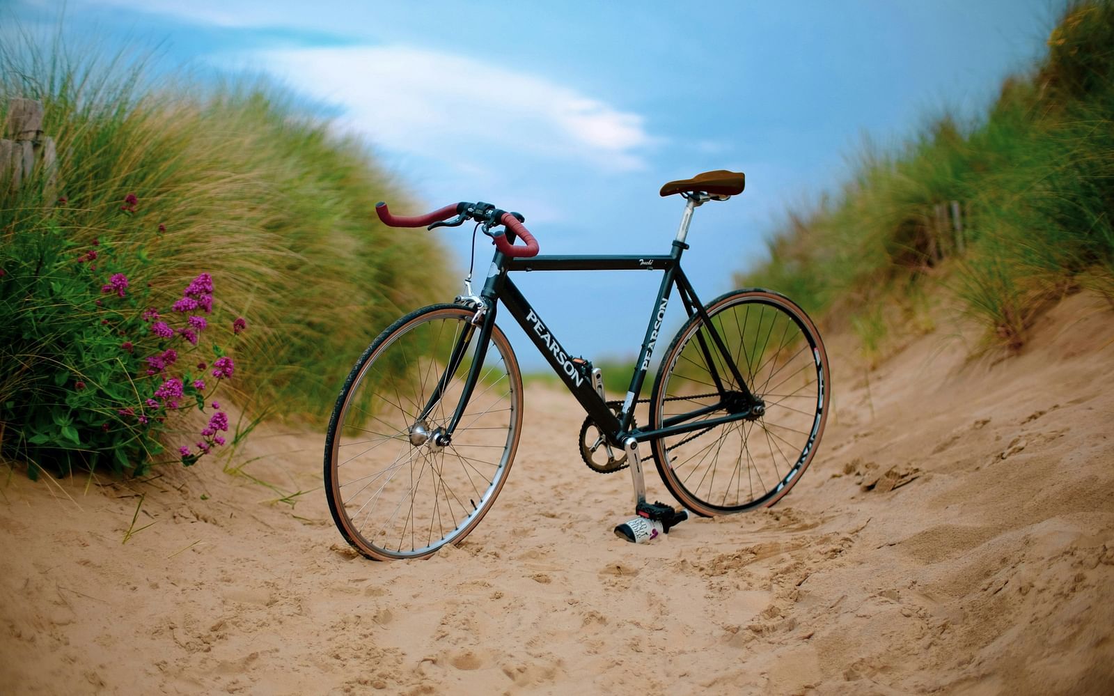 A solitary bicycle kept on the sand near a beach with shrubs next to it. 