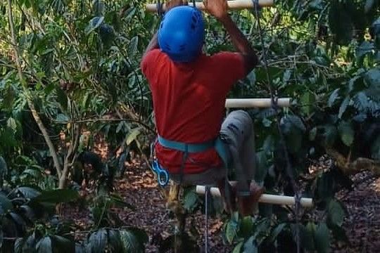 Ladder Climbing