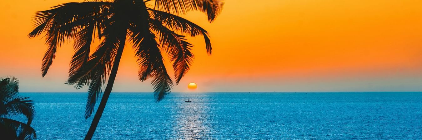 ashutosh-saraswat-CXyz3qljaH8-unsplash