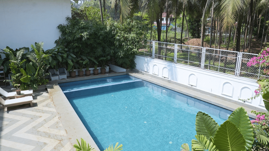 An outdoor swimming pool is surrounded by a chequered deck, sun loungers, dense palm trees at Bougainvillea, Alibaug.