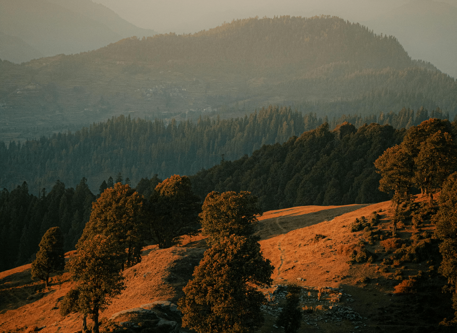 Sunlit Himalayan slopes dotted with trees, hazy valleys, and distant peaks in the golden hour.