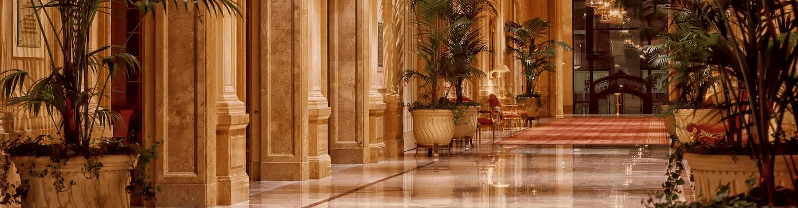 An elegant hotel corridor with high arched doorways, marble flooring, ornate coving, and large tropical house plants.