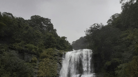 Hebbe Falls flowing at full strength during the monsoon season in Chikmagalur.