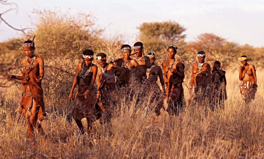 Bushmen
