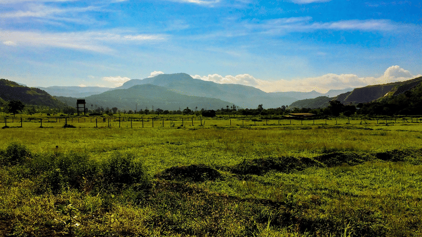 A vast green field leading towards misty mountains under a bright blue sky with wispy white clouds.