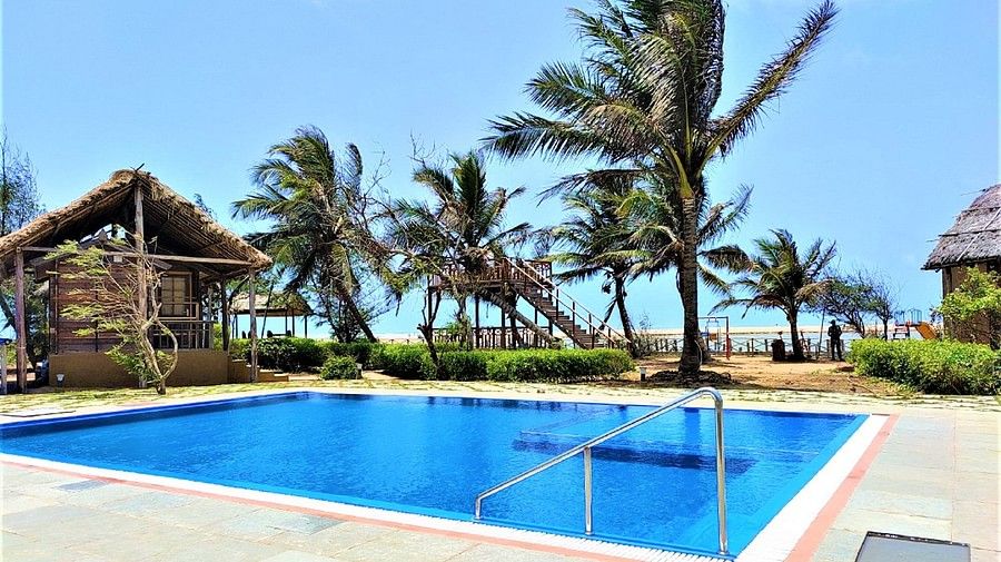 Lotus Eco Resort Konark huge blue Pool surrounded by palm trees with beach nearby