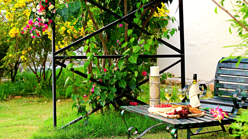 The Golden Tusk, Jim Corbett