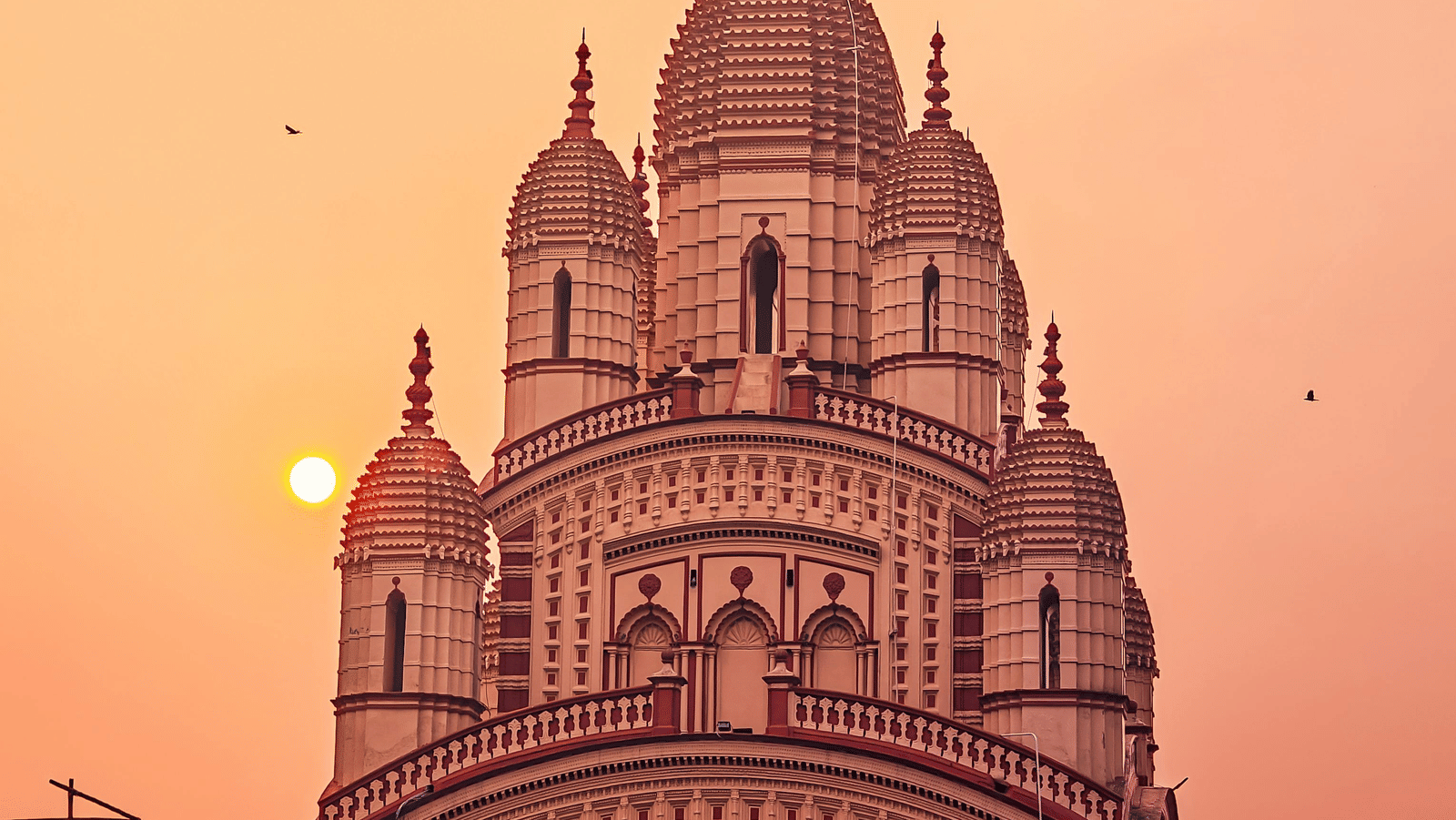 pexels-rohit-sharma-1230131-29556532