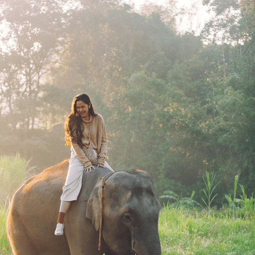 A woman having an elephant ride in Thekkady, during daytime with the sunlight falling on her hair and the elephant's back, and trees in the back.