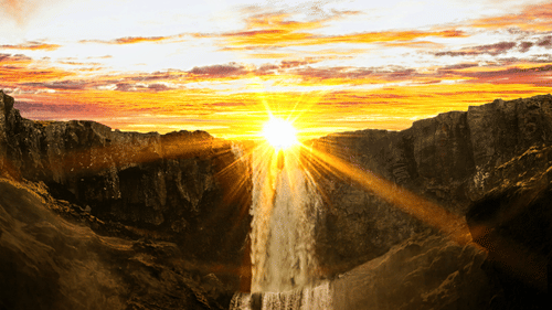 pexels-sachin-c-nair-954929