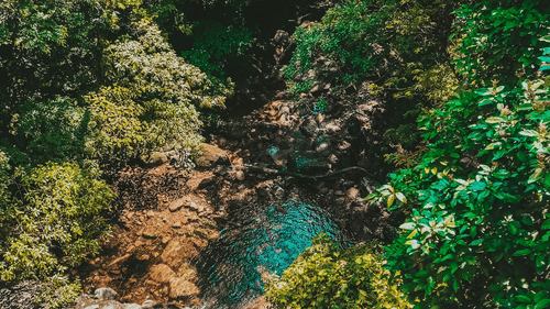 Birds eye view of a natural pool surrounded by lush greenery