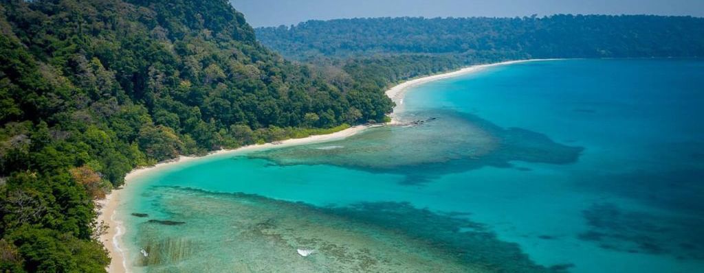 Overview shot of beach side featuring ocean water touching the sandy shore. Beyond the shore there is a forest covered with trees.