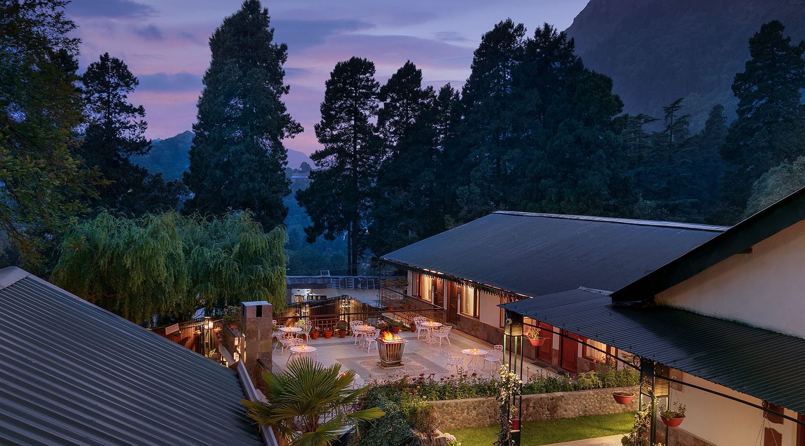 An outdoor setting with lush greenery and night time 