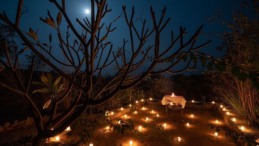 An image of an outdoor dining arrangement with bright lighting and greenery around - Utsav Camp Sariska