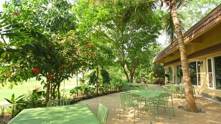 Outdoor patio with green flooring, surrounded by trees and plants, next to a building with a sloped roof and large glass windows at Fireflies Resorts, Kabini.