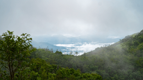 A view of a misty valley between two green hills at Stanley Revelation, with a cloudy sky above.