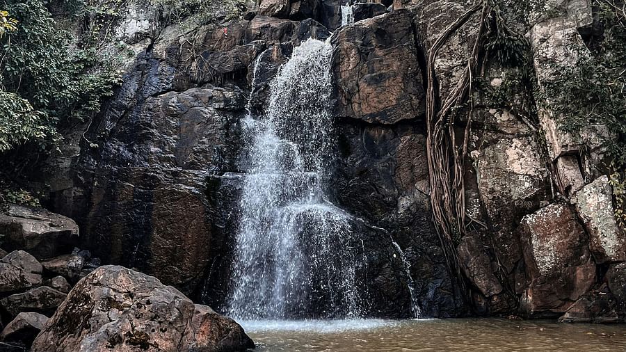 Image of a waterfall cascading down rocky mountain with lush top