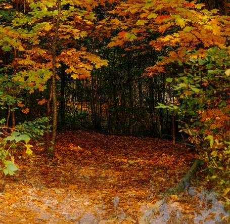 ashe-walker-nJa-beu-rd0-unsplash