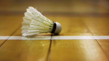 The Earl's Court, Nainital Nainital Badminton Indoor Activites The Earl s Court Nainital Hotels