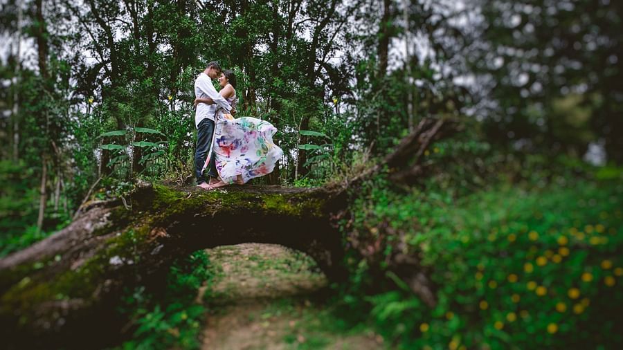 a couple standing on top of a fallen tree in a pose - Capitol Village Resort, Madikeri