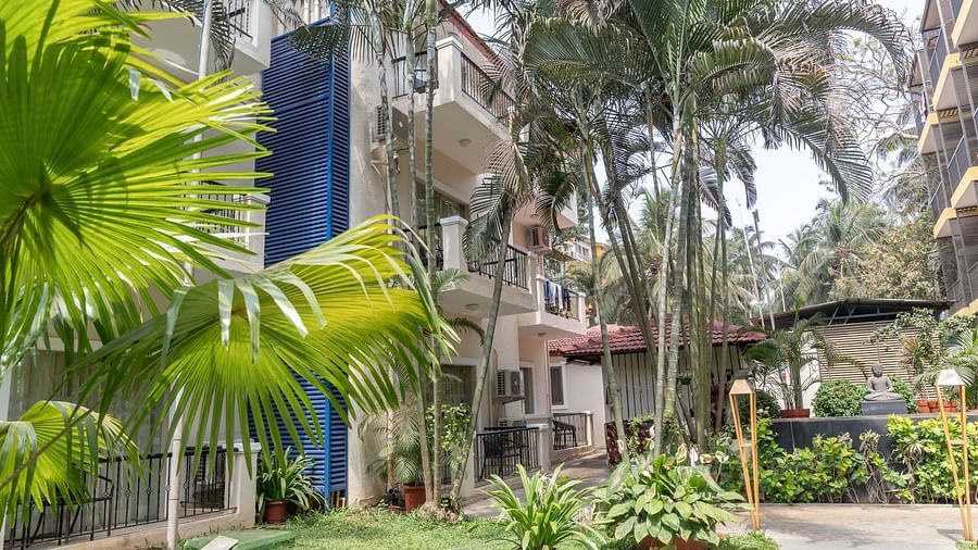 View of the facade surrounded by greenery at Kyriad Prestige Calangute, Goa