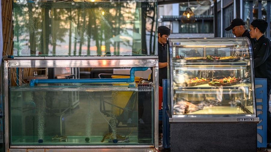 image of an aquarium with crabs and lobsters in a shop - Maikhao Dream Villa Resort & Spa, Phuket