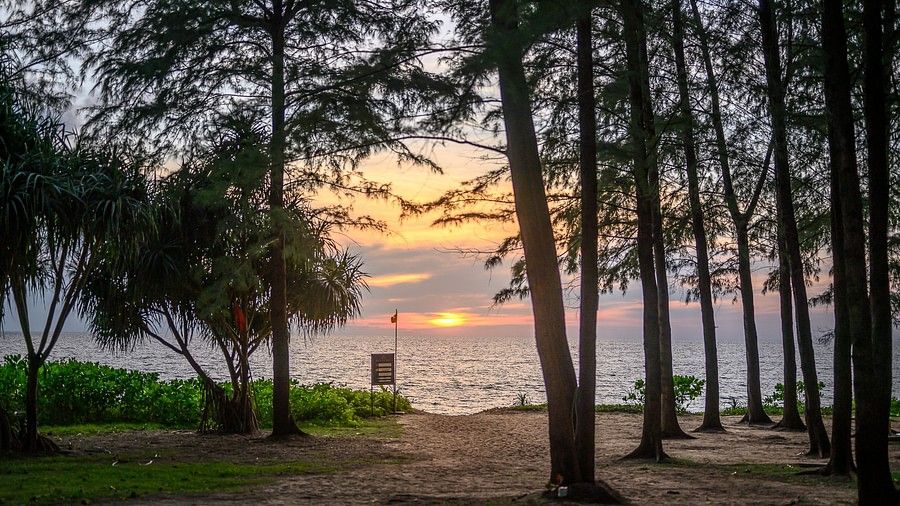 a beautiful sunset over the beach with a beautiful sky in the background and tall trees - Maikhao Dream Villa Resort & Spa, Phuket