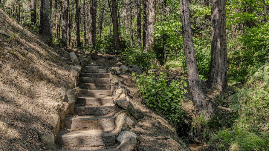 A trail in the forest with steps carved out of stone - Narrow Gauge Inn - A Serenite Hotel Near Fish Camp.