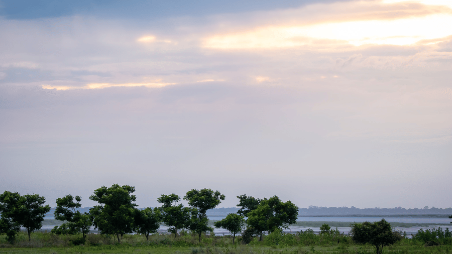A wide landscape of a grassy field and distant trees under a soft sunset sky.
