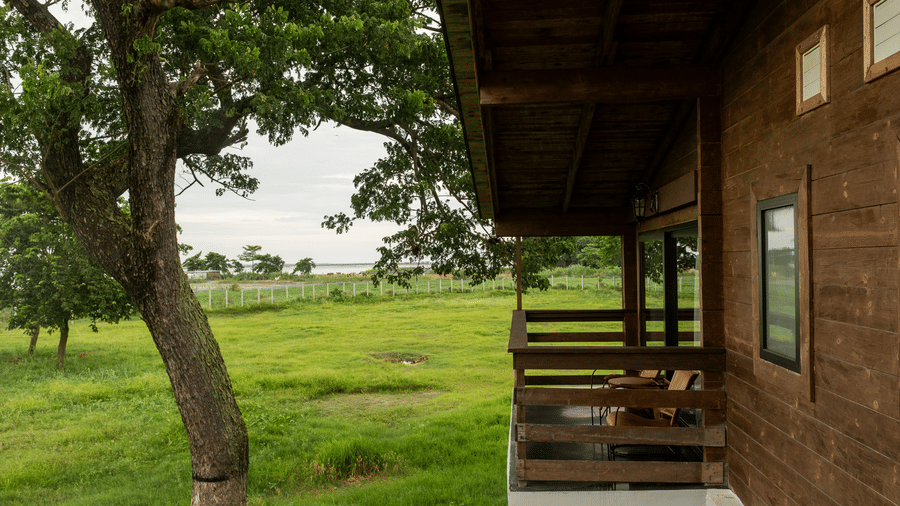 A view from a wooden balcony at Rhino & River Wildlife Retreat & Spa, Pobitora, overlooking a grassy field with a large tree under a bright sky.