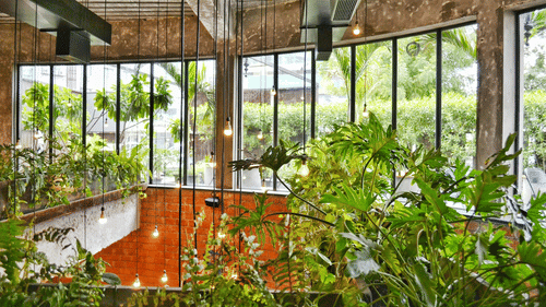 Indoor cafe with large glass windows and lush green plants for decor.