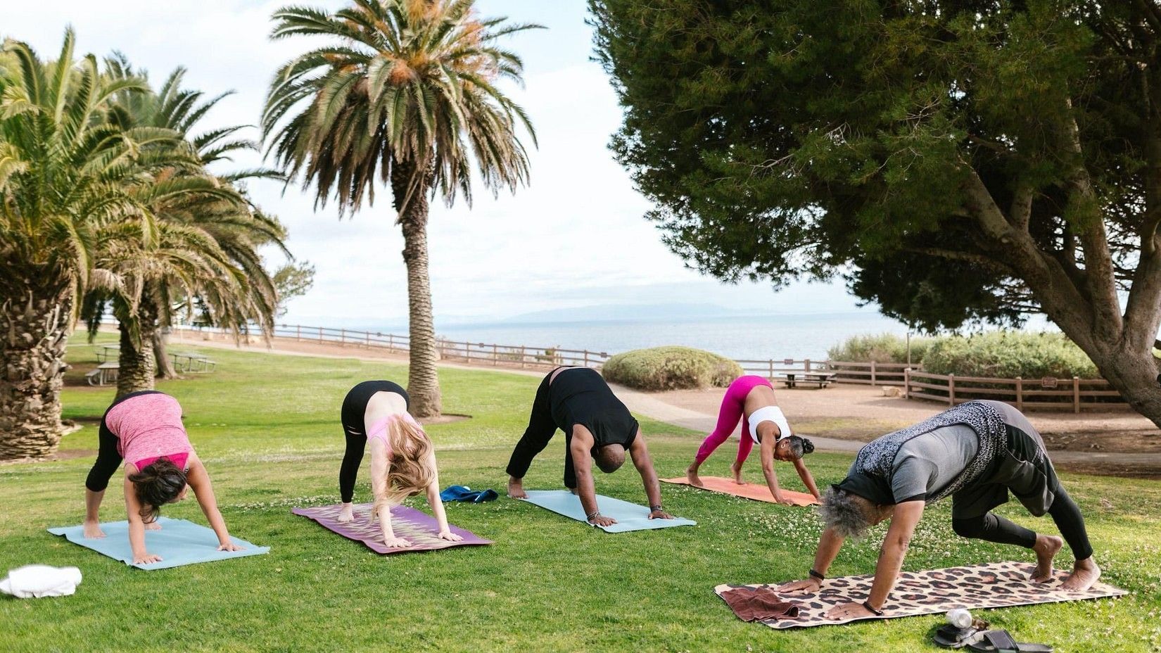 a bunch of people doing yoga in the lawn by the lush greenery