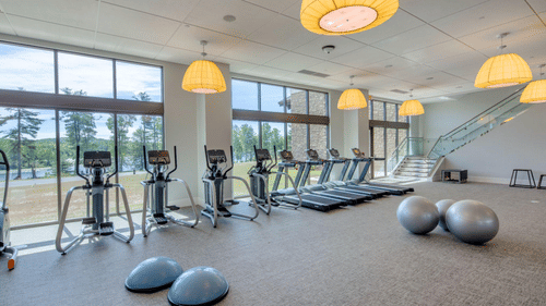 A bright, spacious gym features treadmills, ellipticals, stability balls, and balance trainers, with large windows overlooking an outdoor area at YO1 Longevity & Health Resorts